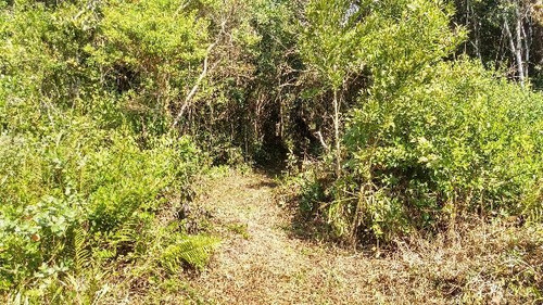 Excelente Área À Venda No Gaivota - Itanhaém 4690 | Sanm
