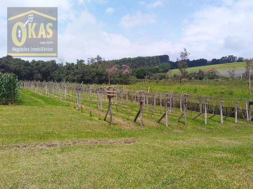 Imagem 3 de 30 de Chácara Com 3 Dormitórios À Venda, 30000 M² Por R$ 2.000.000,00 - Vale Das Serras - Suzano/sp - Ch0033
