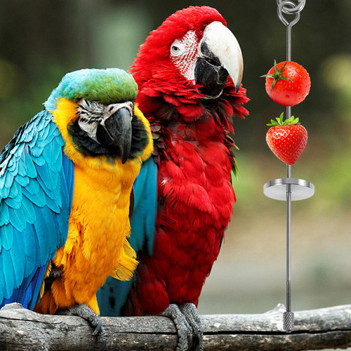 Tenedor De Fruta Parrots De Acero Inoxidable Para Colgar Ver