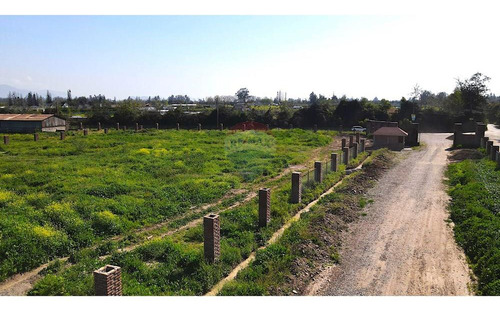 Parcela Rol Propio, 5000 M2 Calera De Tango