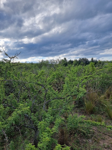 Lote Venta El Parador De La Montaña Santa Rosa De Calamuchita 2.800 M2 Totales Vistas Sierras Chicas Escritura Titulo Perfecto