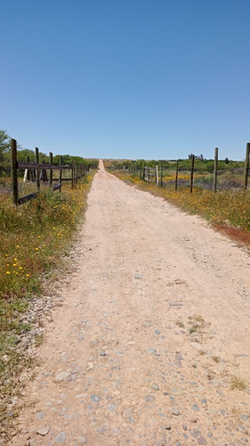 Parcela 5000 Mt