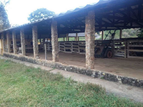 Imagem 23 de 29 de Fazenda De Gado Com 263 Hectares Itajuba - 36525