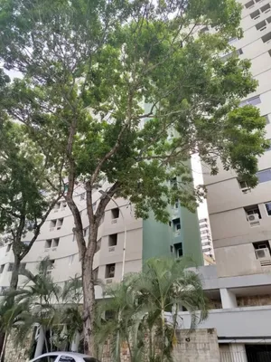 Apartamento en alquiler