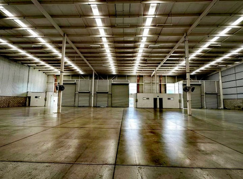 Nave Industrial En Renta Parque Shinjuku Celaya Apaseo El Grande