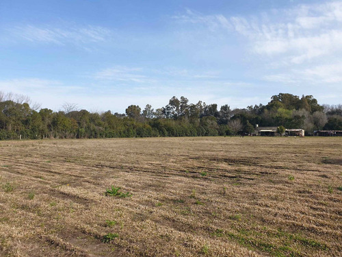 Imagen 4 de 5 de Fracción 35.000 M2 En Zelaya Límite San Sebastián
