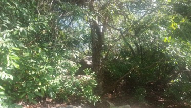Imagen 9 de 13 de Punta Diamante, Terreno, Venta, Acapulco, Guerrero