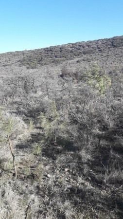 Gran Lote En Loteo Huechulafquen Nº 13 Mz 106