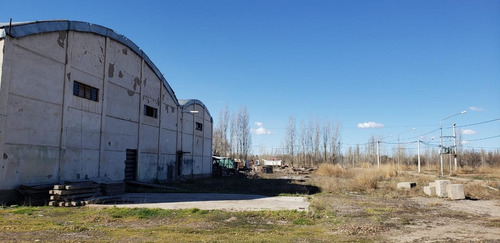 Imagen 7 de 14 de Galpon 900 M2 Y Predio 6000 M2 - Neuquen Este