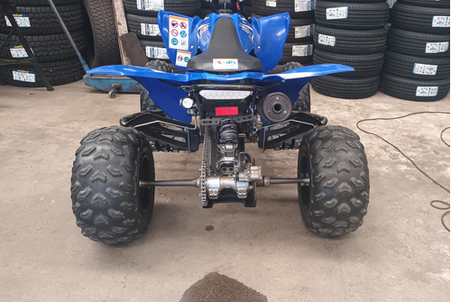 Yamaha Raptor 250r