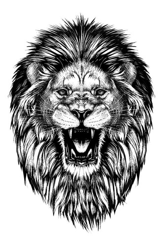 Imagem 8 de 8 de 5 Pôsteres Decorativos Animais Selvagem Leão - 20x30 Cm