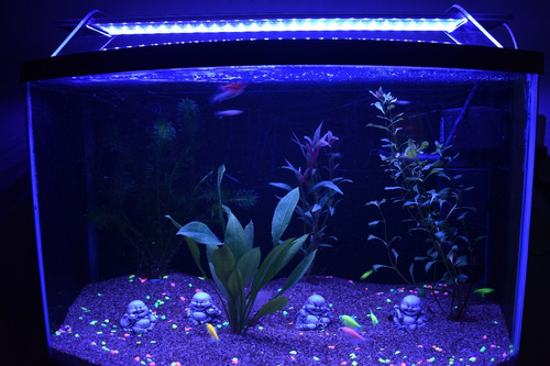 Lampara Led Rgb, Aérea Base De Aluminio Con Bases 180cms