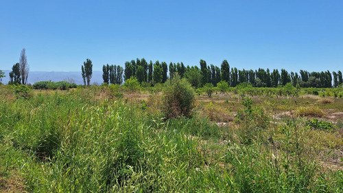 Finca-terreno En Venta En Guaymallén Pozo Surgente De Agua Apta Para Consumo