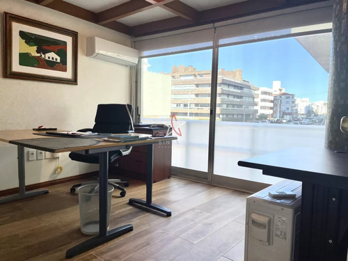 Local, Oficina, Consultorio, Etc, Punta Del Este, Península, Venta