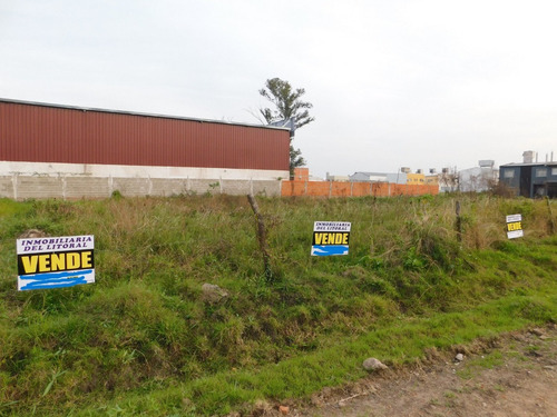 Imagen 5 de 10 de Dos Lotes A 50m De Av. Centenario.
