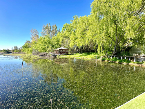 Casa Con Laguna, 7.235m2, Quillon
