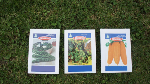 Semillas De Hortalizas Sobres Pequeños Criboseeds