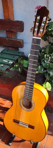Guitarra Flamenca Esteve 6f+case Semirigido. 100% Maciza.