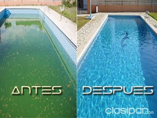 Clarificador Decantador + Alguicida Clorosil Combo 1 Lt