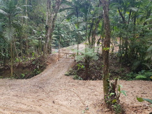 Imagem 1 de 11 de Terreno Para Chácara À Venda Em Brusque/sc - 960c