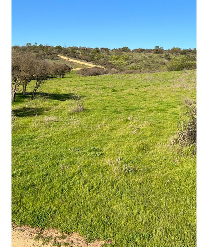 Excelente!! Parcelas De 5.000 M2 Con Rol Propio En "lom