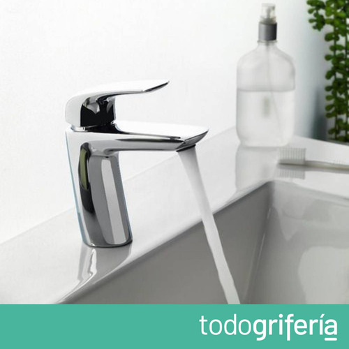 Grifería Monocomando De Lavatorio Fv Epuyen Pico Bajo 181/l2