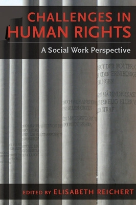 Libro Challenges In Human Rights: A Social Work Perspecti...