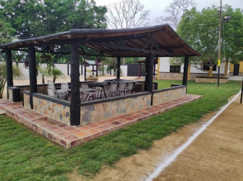 Imagen 8 de 20 de Oportunidad Finca Agro Industrial En Bejuma, Ryes Arriba, LG