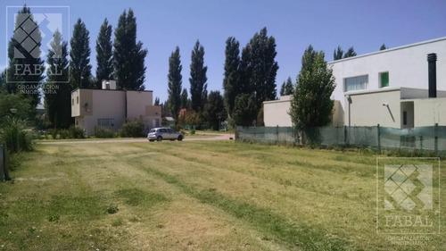 Imagen 4 de 12 de Terreno Venta Plottier, Barrio Privado Villa Muluen