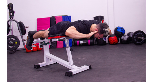 Banco De Abdominales Profesional Con Regulacion