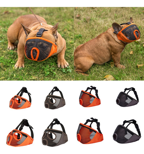 Imagen 6 de 7 de Gafas De Ojo Bulldog Máa Ajustable De Perro Gato