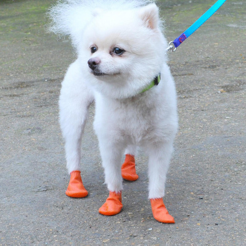 2 Botas De Lluvia Para Perros Zapatos De Nieve Impermeables