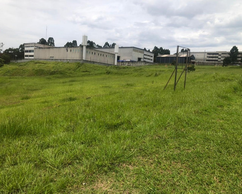 Imagem 3 de 8 de Área No Polo Industrial De Alphaville - Ar00052 - 70365916