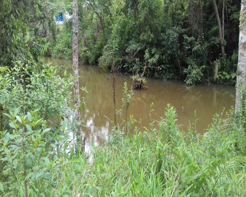 Imagem 3 de 7 de Terreno Pronto Para Formar A Chácara Dos Seus Sonhos. Estuda Contra Proposta! - 221 - 32982733