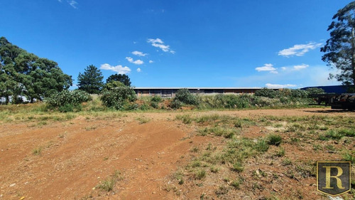 Terreno Para Locação Em Guarapuava, Industrial - _2-1184539