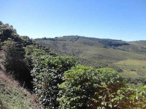 Imagem 13 de 26 de Fazenda Com 110 Alqueires Em Poços De Caldas/mg - 7707