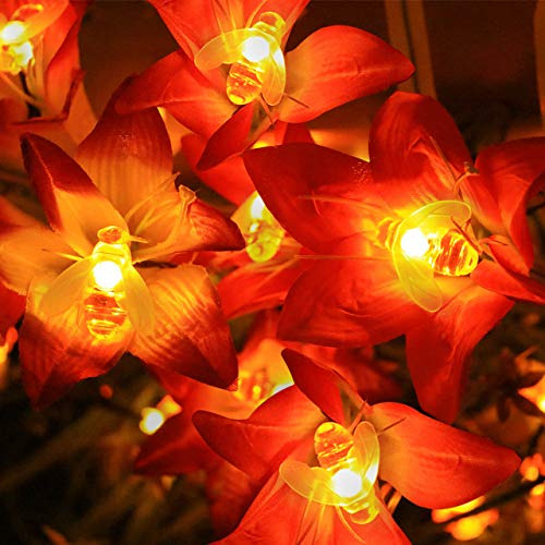 Cadena De Luces Solares Semilits 20 Led Impermeables Para