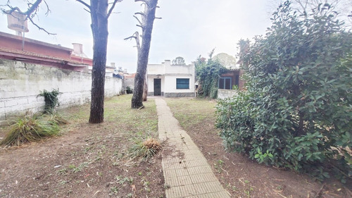 Imagen 4 de 8 de Venta Terreno Sobre Avenida Principal Con Construccion A Demoler Mar Del Tuyu