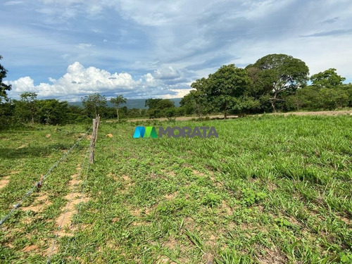 Imagem 3 de 15 de Fazenda - Zona Rural - Ref: 5300 - V-mta5300