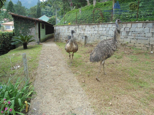 Sítio A Venda No Bairro Cascata Dos Amores Em Teresópolis - St 0310-1
