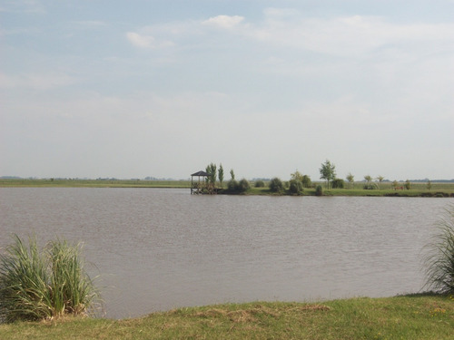 Imagen 11 de 14 de Lote En El Mirador Club De Campo!