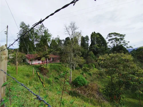 Venta De Lote En Guarne, Vereda Hojas Anchas