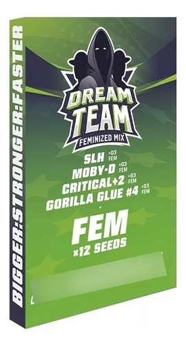 Dream Team Feminized 12 Semillas Bsf Seeds