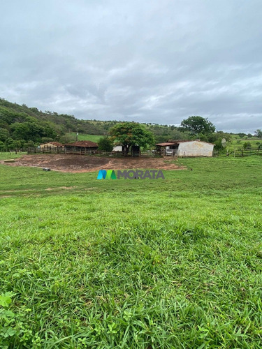 Imagem 2 de 15 de Fazenda - Zona Rural - Ref: 5534 - V-mta5534