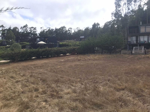 Sitio En Condominio / Punta De Lobos (68194)
