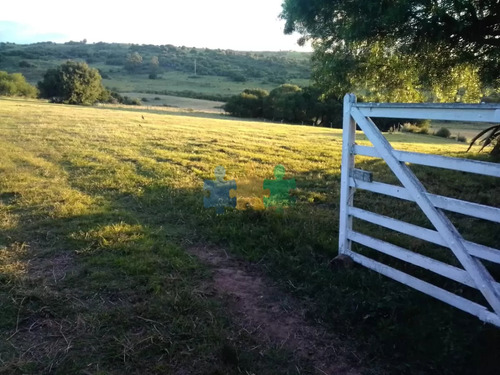 Campo En Venta, Las Cañas - Ref : Eqp6637