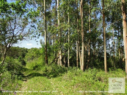 Imagem 8 de 15 de Área Rural Para Venda Em Mariana Pimentel, Linha Preta - Mariana Pimentel - 1148_1-731320