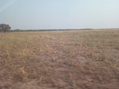 Campo En Quimili - Departamento De Moreno Santiago Del Estero - Argentina