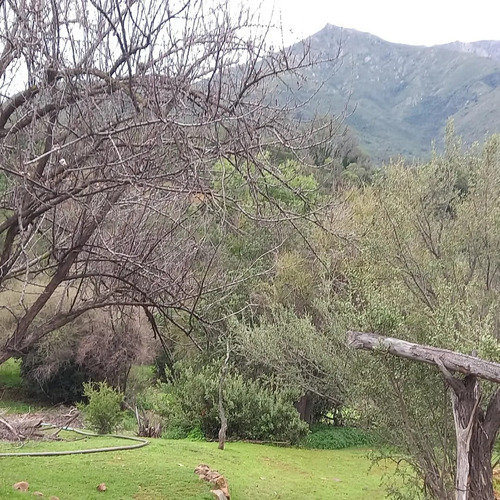 Refugio Sereno En Colliguay Casa Con Tinaja Y Piscina