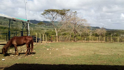 Imagen 1 de 30 de Finca En Mirimire Estado Falcon De 941 Hectáreas